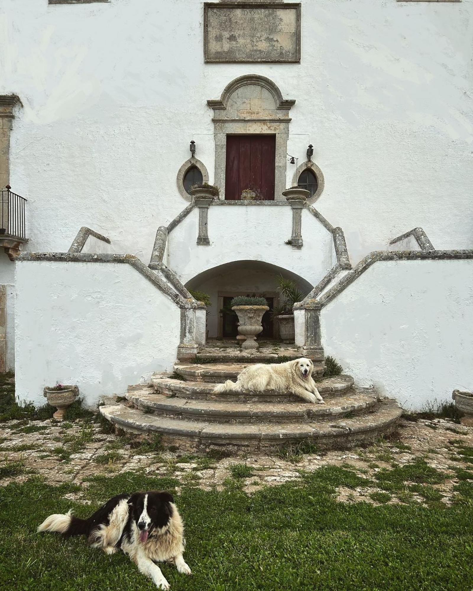 Masseria Murgia Albanese Noci Buitenkant foto