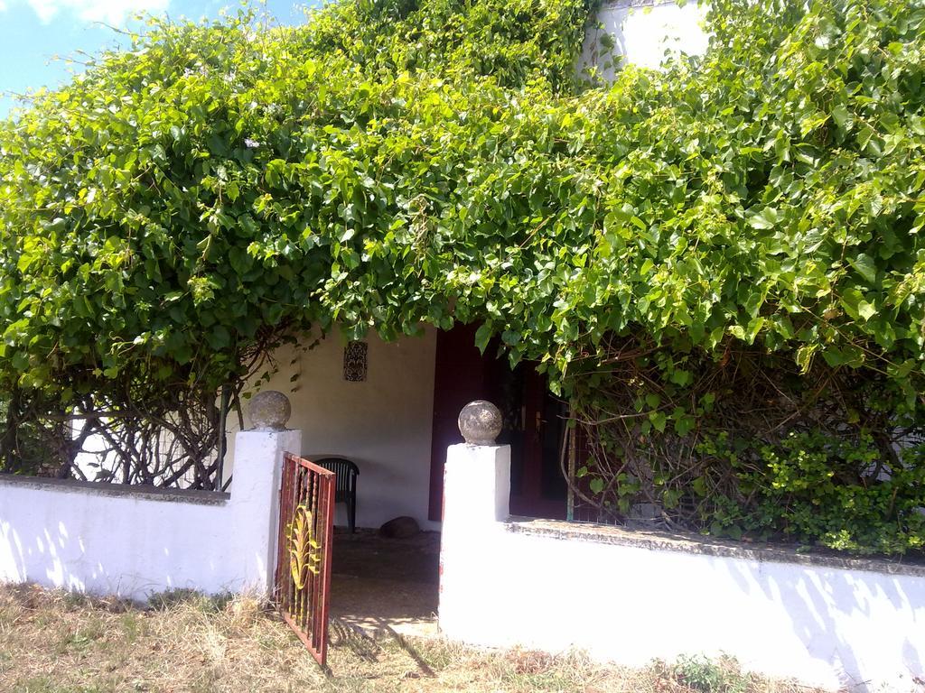 Masseria Murgia Albanese Noci Buitenkant foto