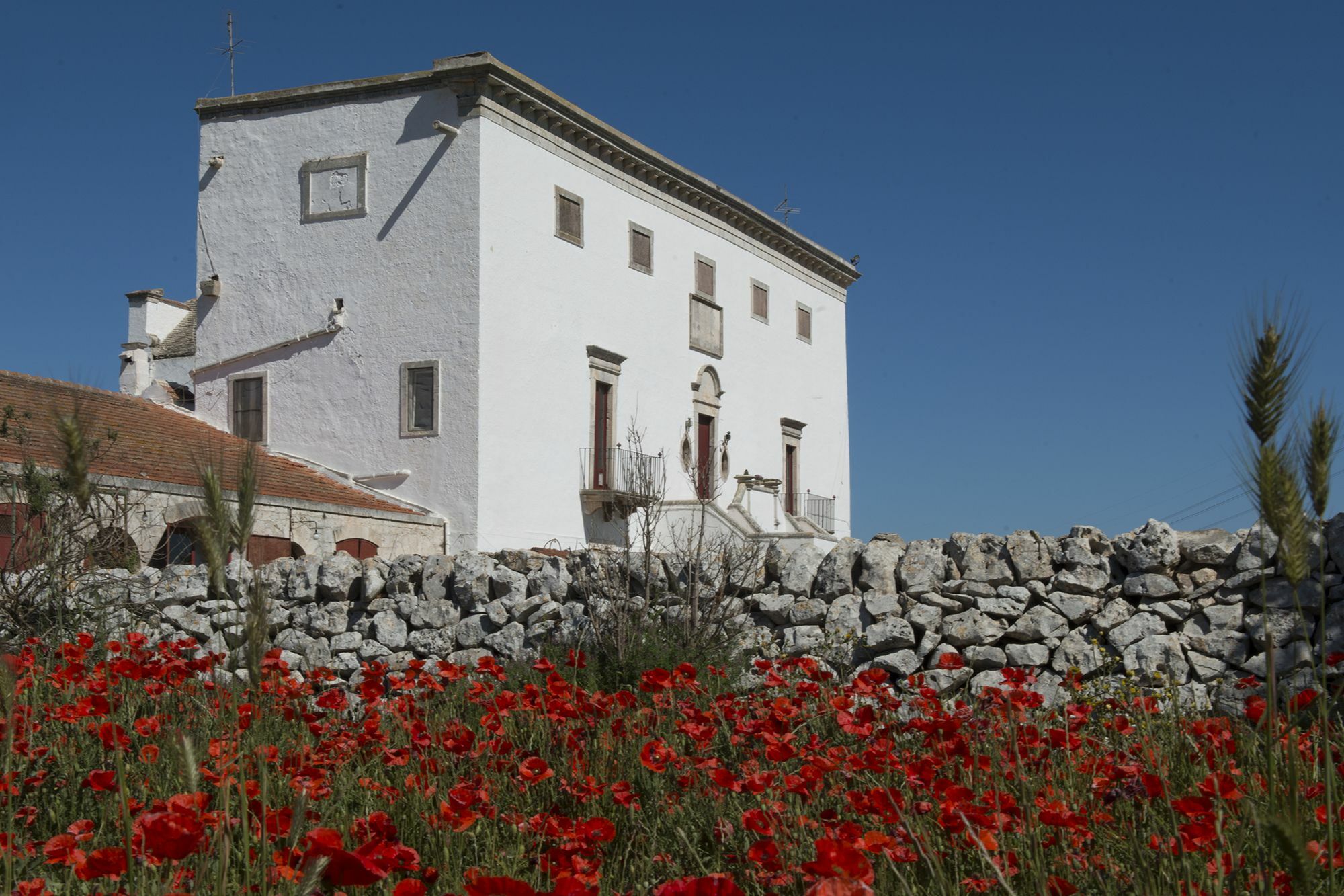 Masseria Murgia Albanese Noci Buitenkant foto
